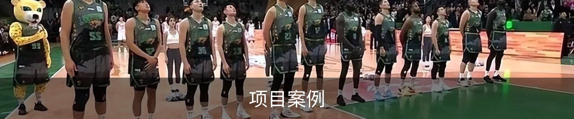 项目案例